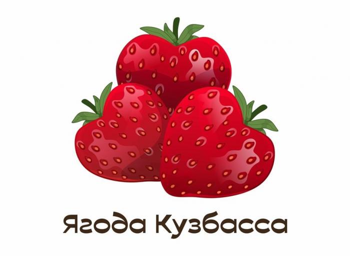 Ягода Кузбасса