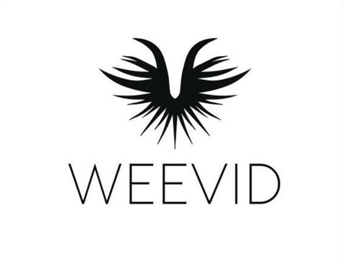 Weevid
