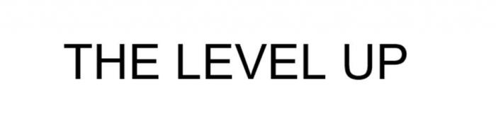 THE LEVEL UP