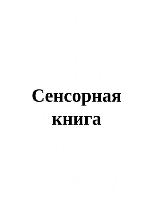 Сенсорная книга