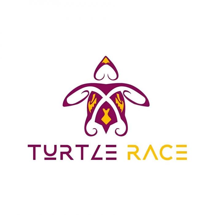 TURTLE RACE