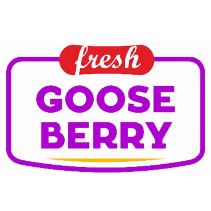 GOOSEBERRY fresh