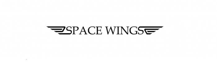 SPACE WINGS