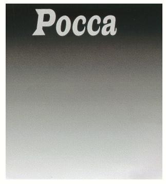 РОССА POCCA