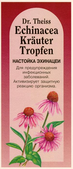 DR THEISS ECHINACEA KRAUTER TROPFEN НАСТОЙКА ЭХИНАЦЕИ