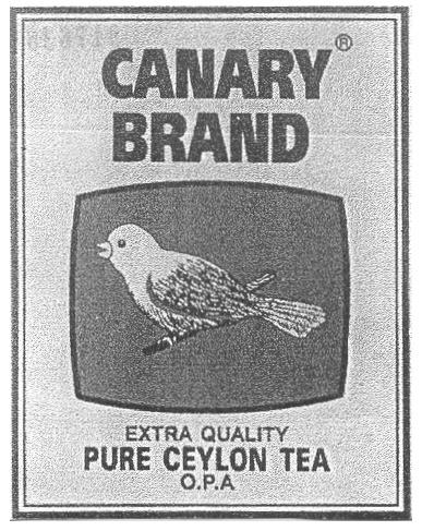 CANARY BRAND EXTRA QUALITY PURE CEYLON TEA O P A