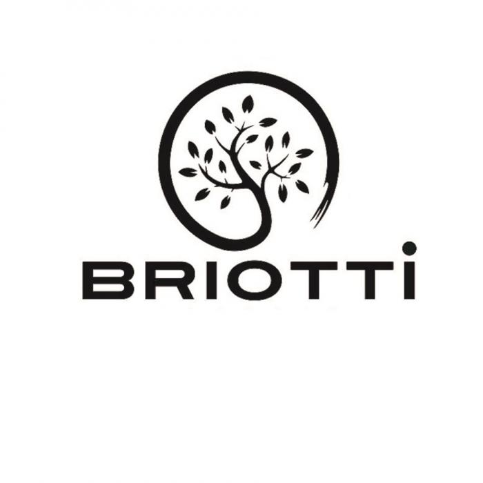 BRIOTTI PROGRESSIVE SHOE FACTORY EST. 1998 MADE IN RUSSIA TRADE MARK REAL LEATHER