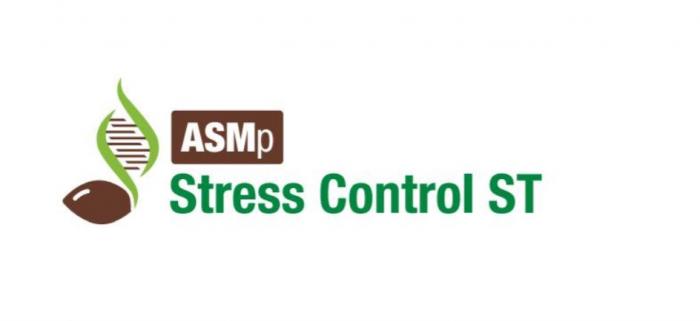 ASMP STRESS CONTROL ST