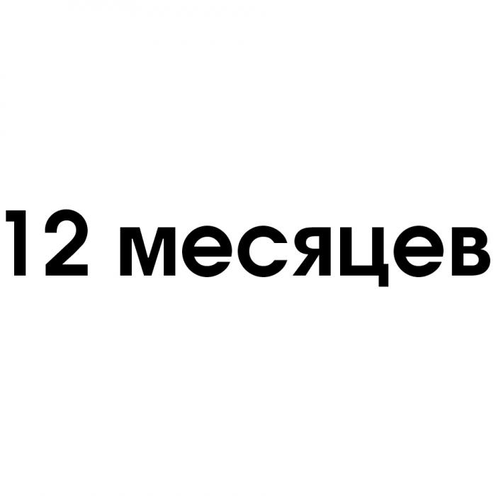 12 МЕСЯЦЕВ