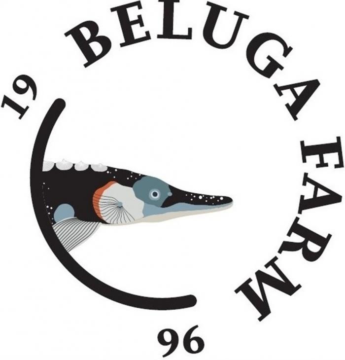 BELUGA FARM 19 96