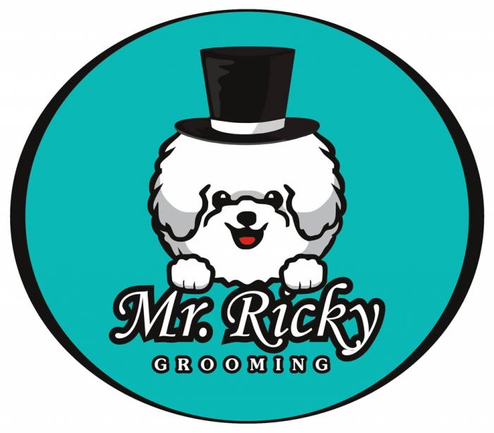 MR. RICKY GROOMING