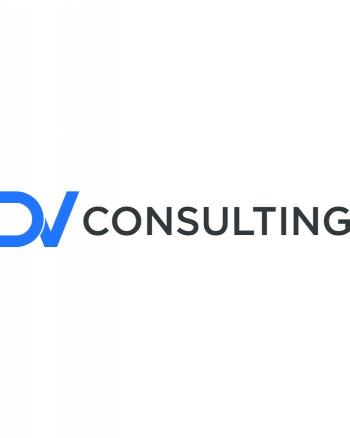 DV CONSULTIND