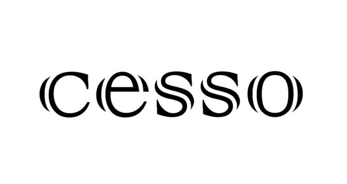Словесный элемент состоит из слова "cesso", выполненного оригинальным шрифтом букв латинского алфавита (транслитерация: цессо, перевода нет).