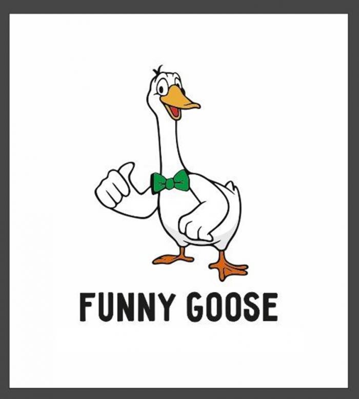 FUNNY GOOSE