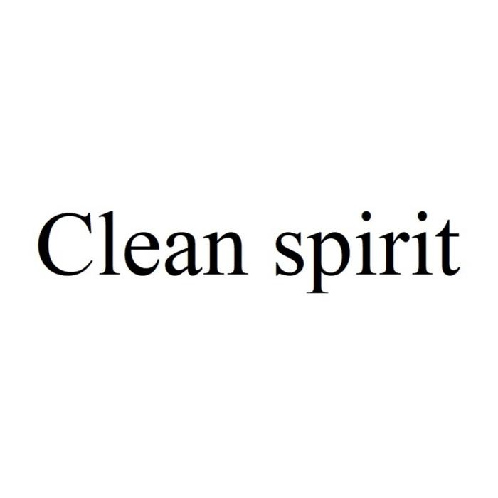 CLEAN SPIRIT