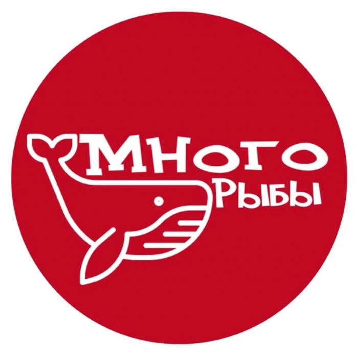 МНОГО РЫБЫ