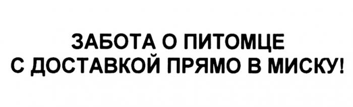 ЗАБОТА О ПИТОМЦЕ С ДОСТАВКОЙ ПРЯМО В МИСКУ