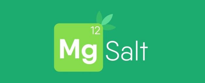 MG SALT 12
