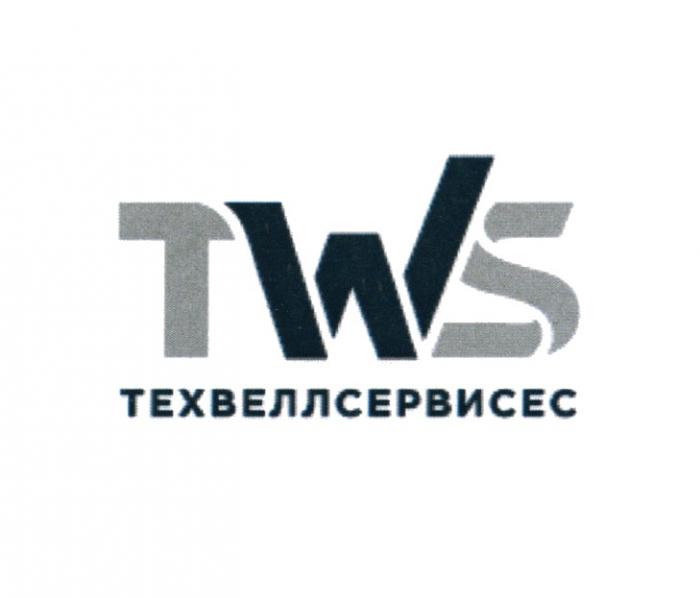 TWS ТЕХВЕЛЛСЕРВИСЕС