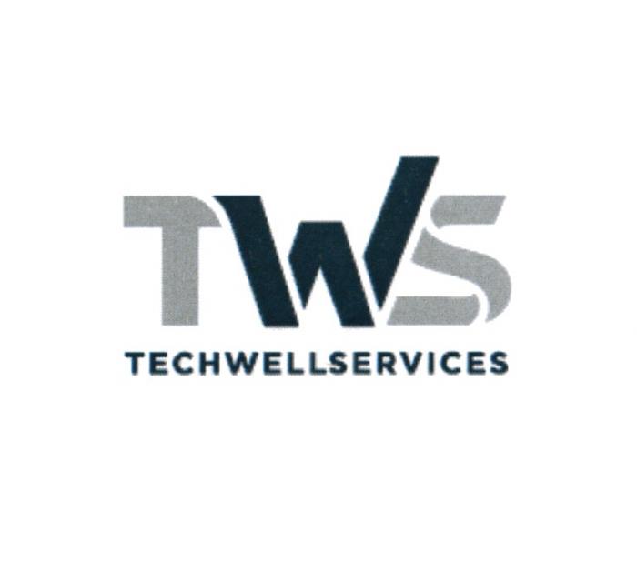 TWS TECHWELLSERVICES