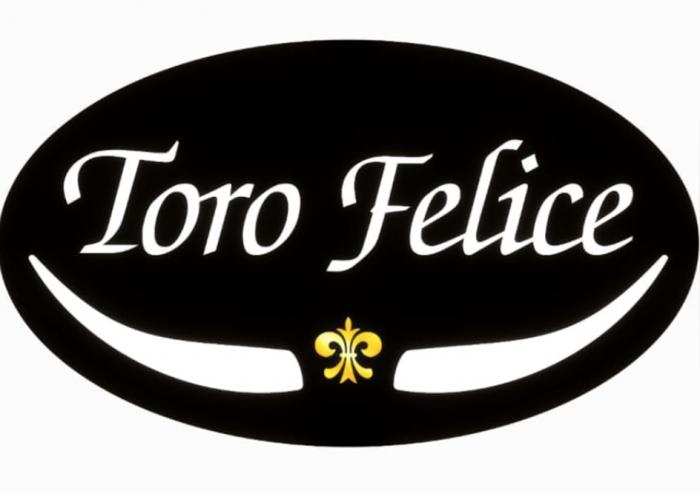 TORO FELICE