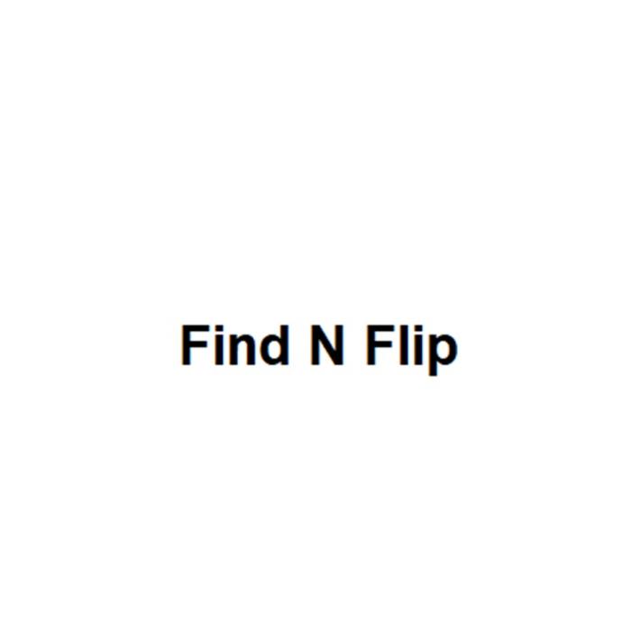 FIND N FLIP