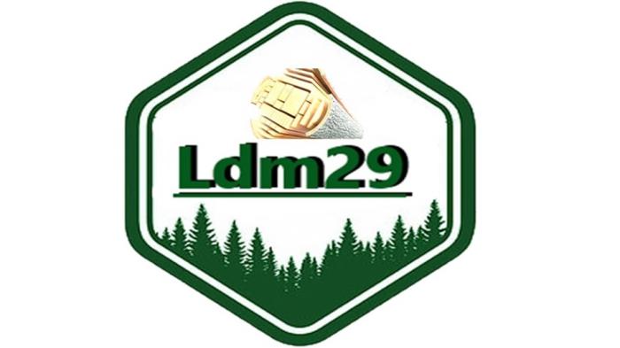 Ldm29