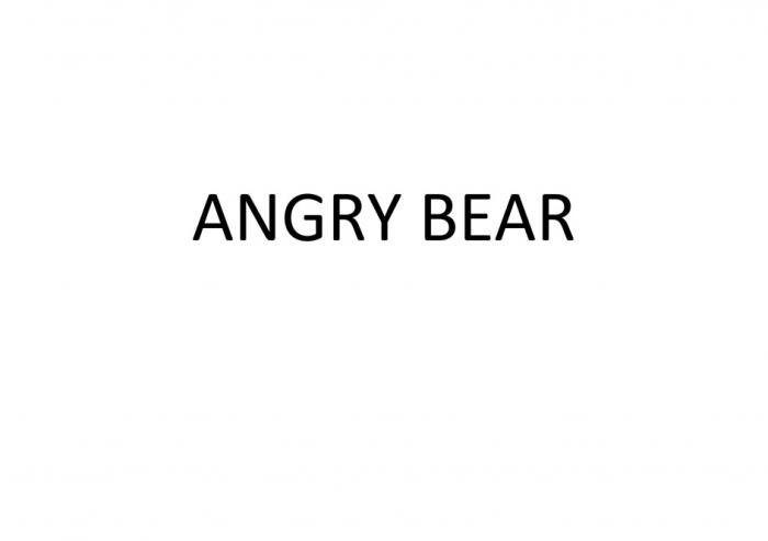 ANGRY BEAR