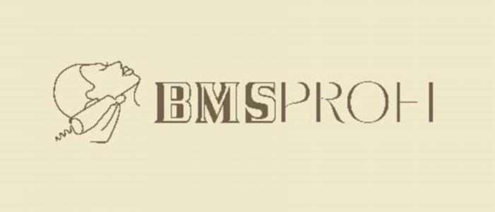 BMSPROFI