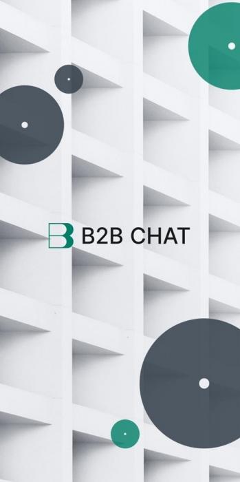 В B2B CHAT