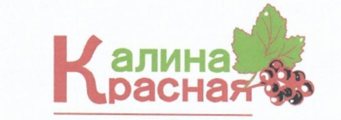 КАЛИНА КРАСНАЯ