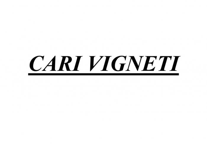 CARI VIGNETI