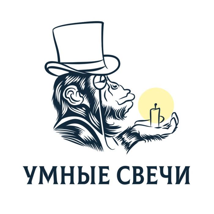 УМНЫЕ СВЕЧИ