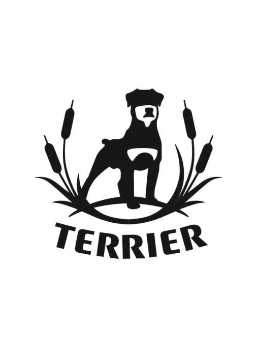 TERRIER