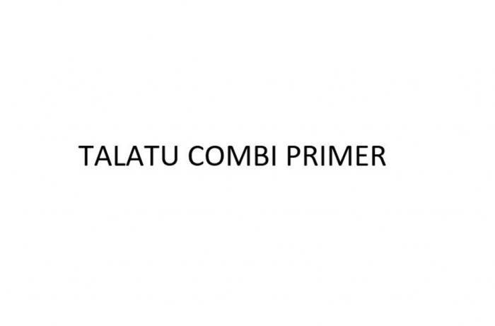 TALATU COMBI PRIMER