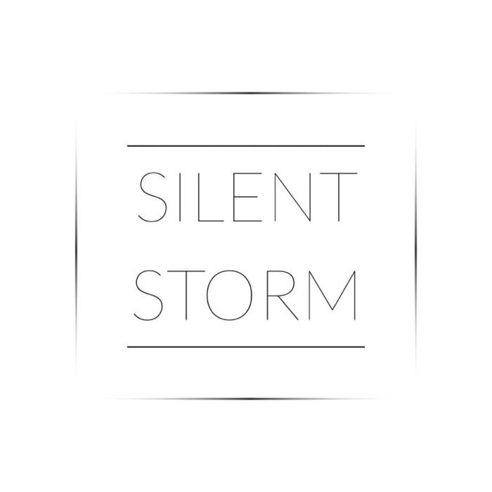 SILENT STORM