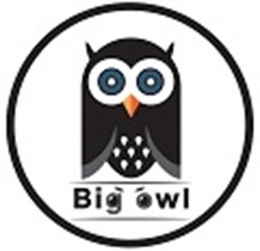 Изобразительный знак сова в окружности внизу надпись английскими буквами Big Owl