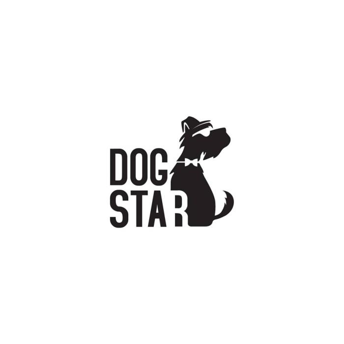 Словесные элементы представлены в виде словосочетания на английском языке "DOG STAR"-формируется из двух слов DOG-собака и STAR-звезда.Полное значение может быть переведено как "Собака-звезда".