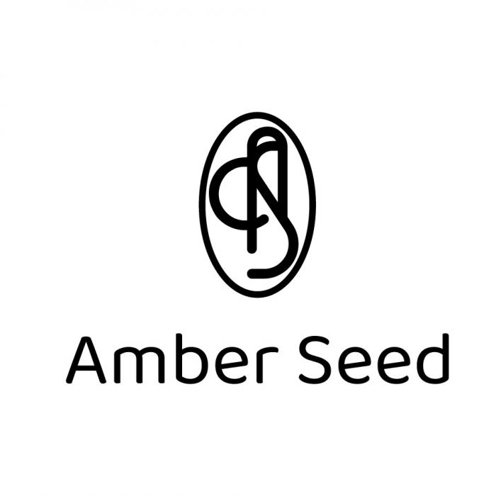 AMBER SEED