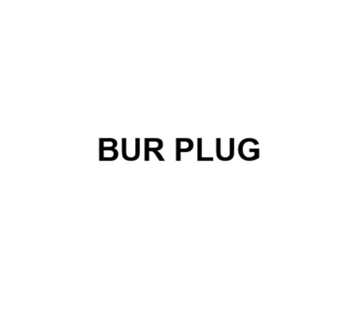 BUR PLUG