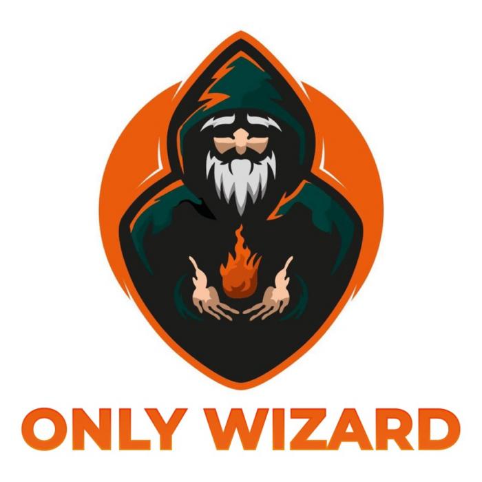 Словесный элемент состоит из слов "ONLY" и "WIZARD", выполненных заглавными буквами в латинице. Транслитерация: онли визарт. Перевода нет.