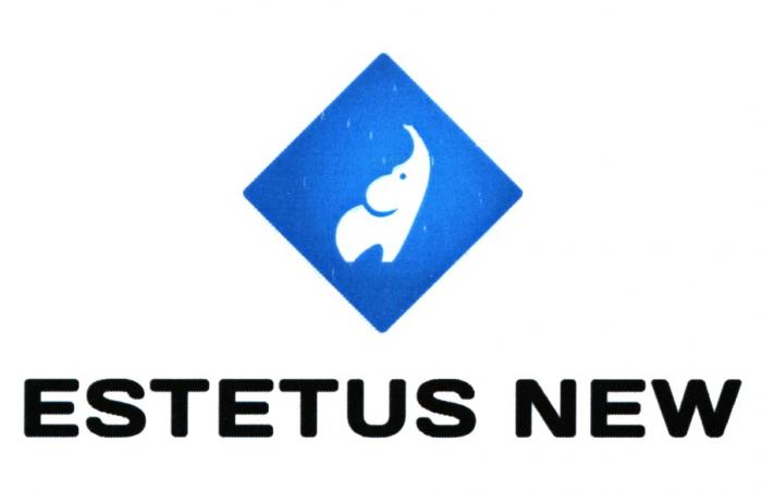 ESTETUS NEW