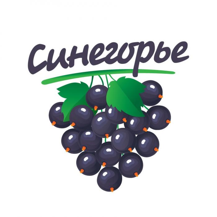 Синегорье