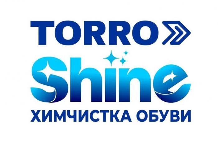 Словесный элемент "TORRO Shine", выполнен оригинальным шрифтом букв латинского алфавита. Транслитерация: торро шайн, перевода нет.