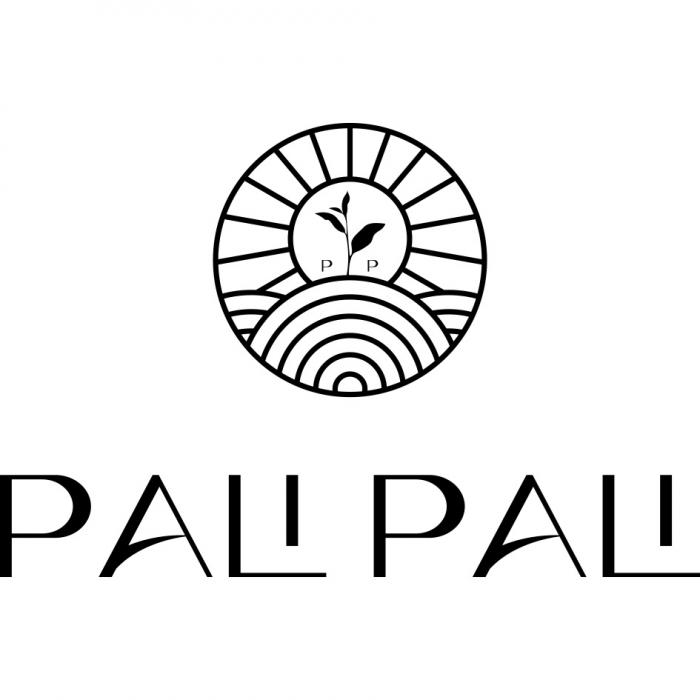 P P PALI PALI