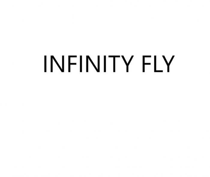 INFINITY FLY