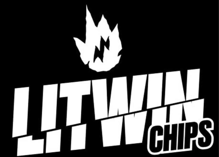 LITWIN CHIPS