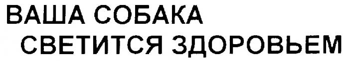 ВАША СОБАКА СВЕТИТСЯ ЗДОРОВЬЕМ