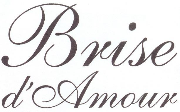 BRISE DAMOUR AMOUR