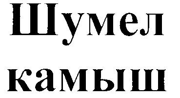 ШУМЕЛ КАМЫШ